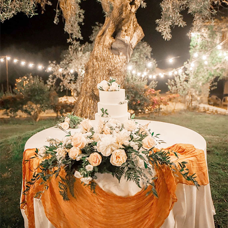 Wedding cake beneath olive trees and lights